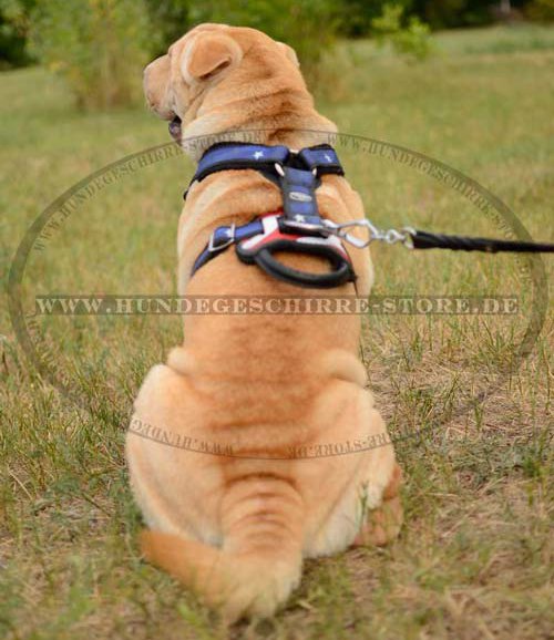 Padded Dog Harness for Sharpei  