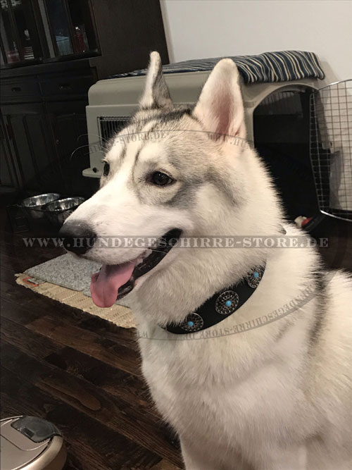 Husky Hundehalsband mit Steinen 