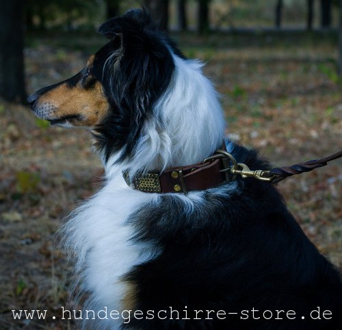 Leder Hundehalsband, qualitativ