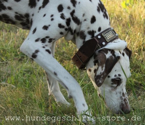 Leder Halsband, einzigartig