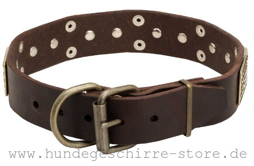 Leder Hundehalsband, bequem