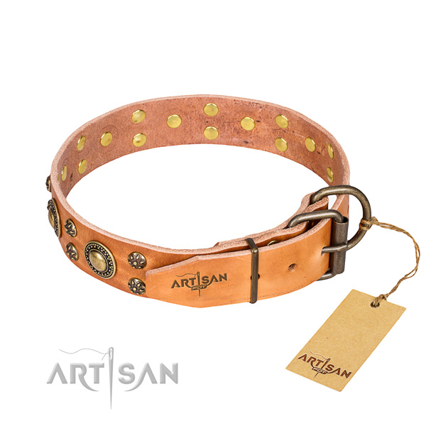 Designer dog collar made of leather