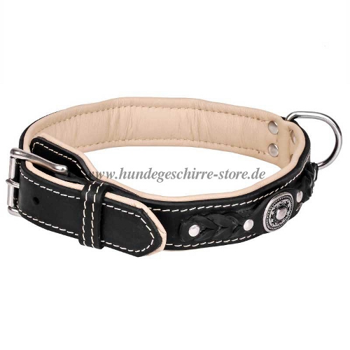 Nappa Leather Dog Collar Braided New