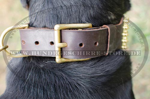 mountain dog extra wide leather collar