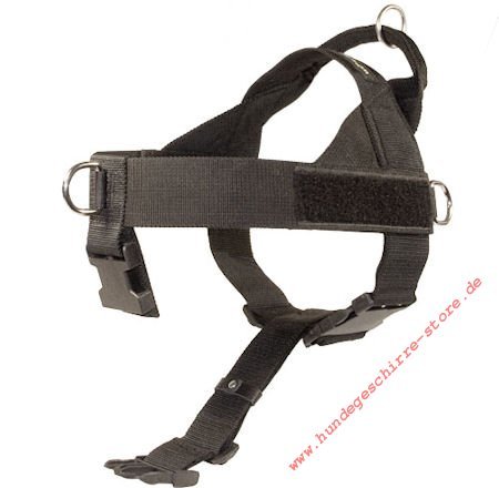 french bulldog dog harness