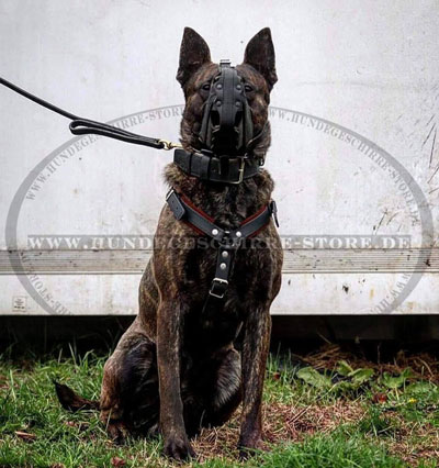 Polizeihund Maulkorb für Angriff kaufen