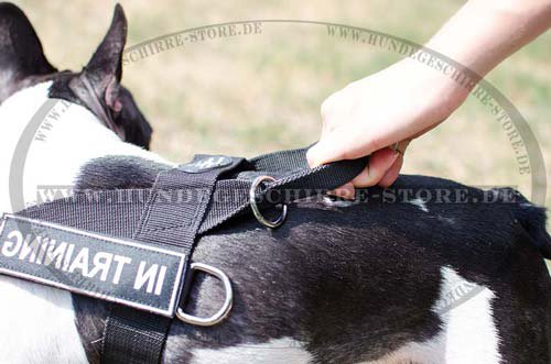 K9 dog harness French Bulldog